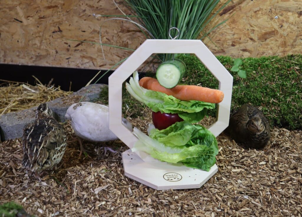 Frischfutter Legewachteln