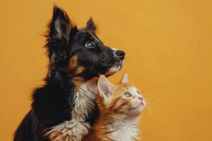 Lesen Sie mehr über den Artikel Was dein Haustier wirklich über dich denkt: Fun Facts + kleine Mythen